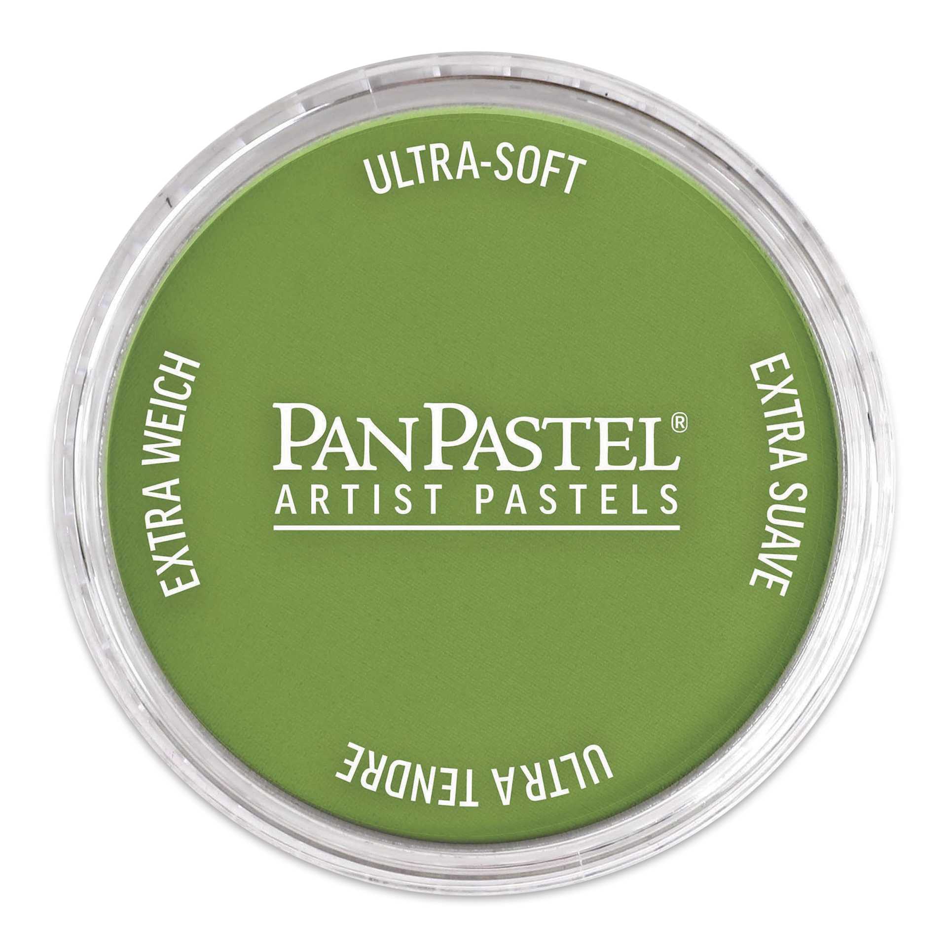 PanPastel Artist Painting Pastel - Yellow Green Shade, 690.3