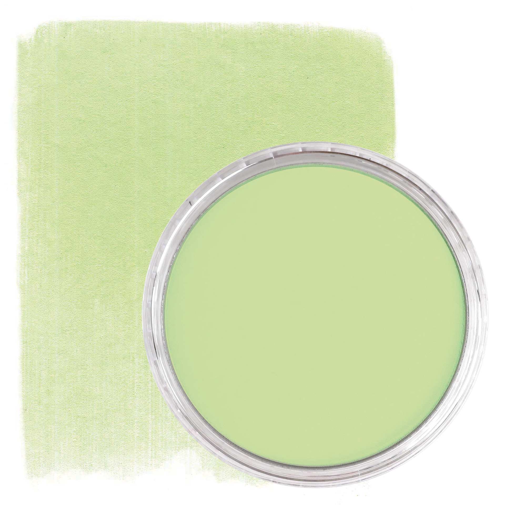 PanPastel Artist Painting Pastel - Yellow Green Tint, 690.8, pan and swatch