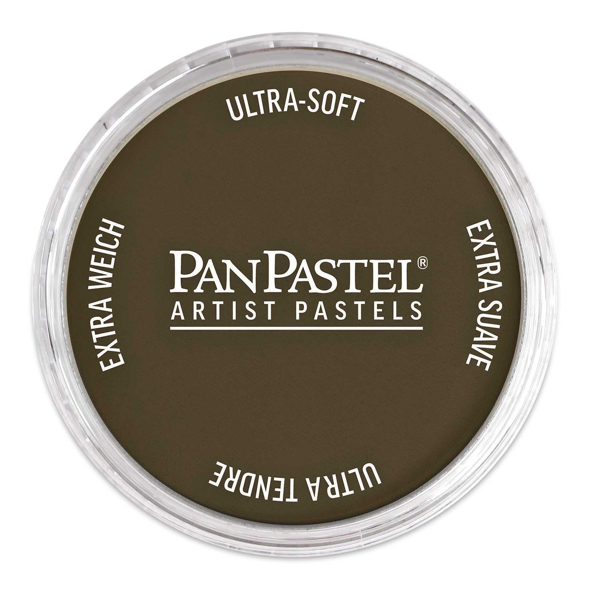 PanPastel Artists’ Painting Pastel - Raw Umber, 780.5