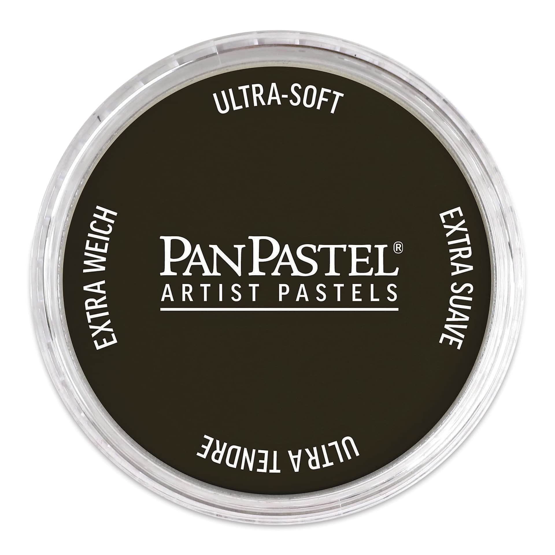 PanPastel Artists’ Painting Pastel - Raw Umber Extra Dark, 780.1