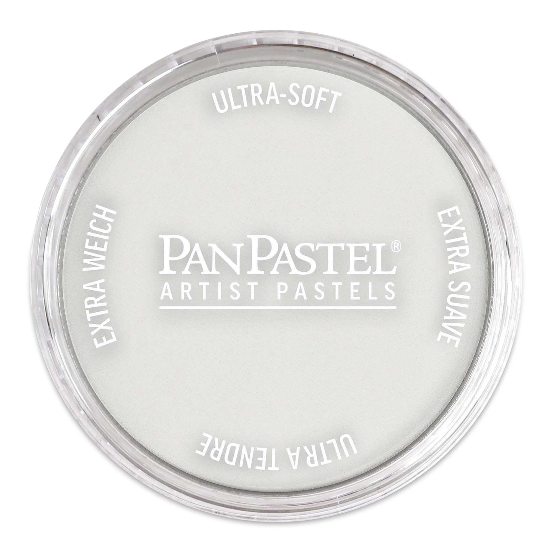 PanPastel Artists’ Painting Pastel - Metallic Silver, 920.5, pan with lid on