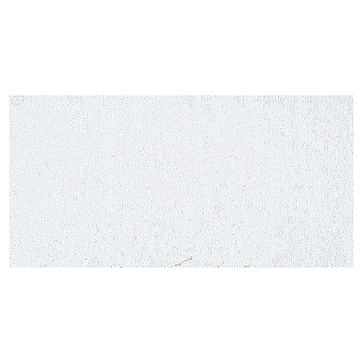 Art Spectrum Tints of White Extra Soft Pastel - Cool White swatch