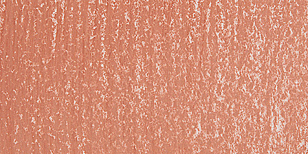 Holbein Artists' Soft Pastel - Pale Brown 1 swatch