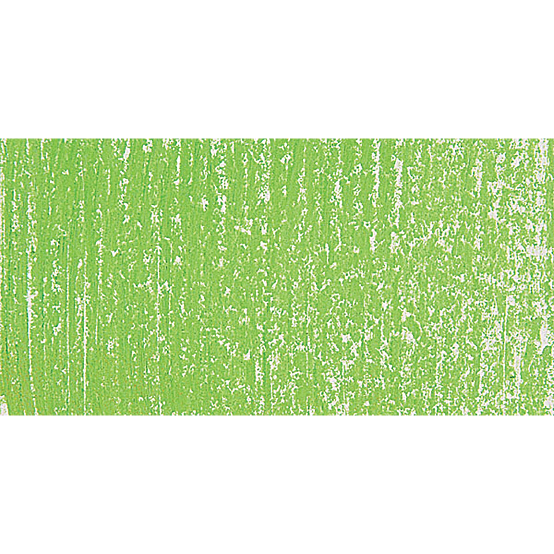 Blick Artists' Soft Pastel - Lizard Green 1 swatch