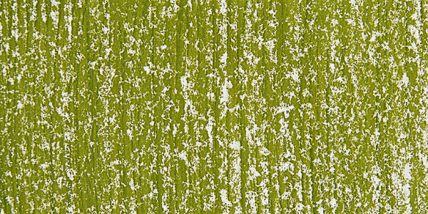 Blick Artists' Soft Pastel - Olive Green 4 swatch