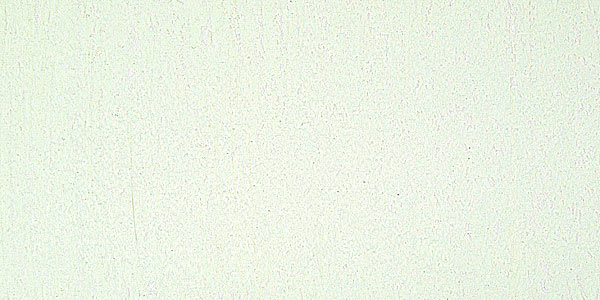 Mount Vision Soft Pastel - Cool Grass Green 64 swatch
