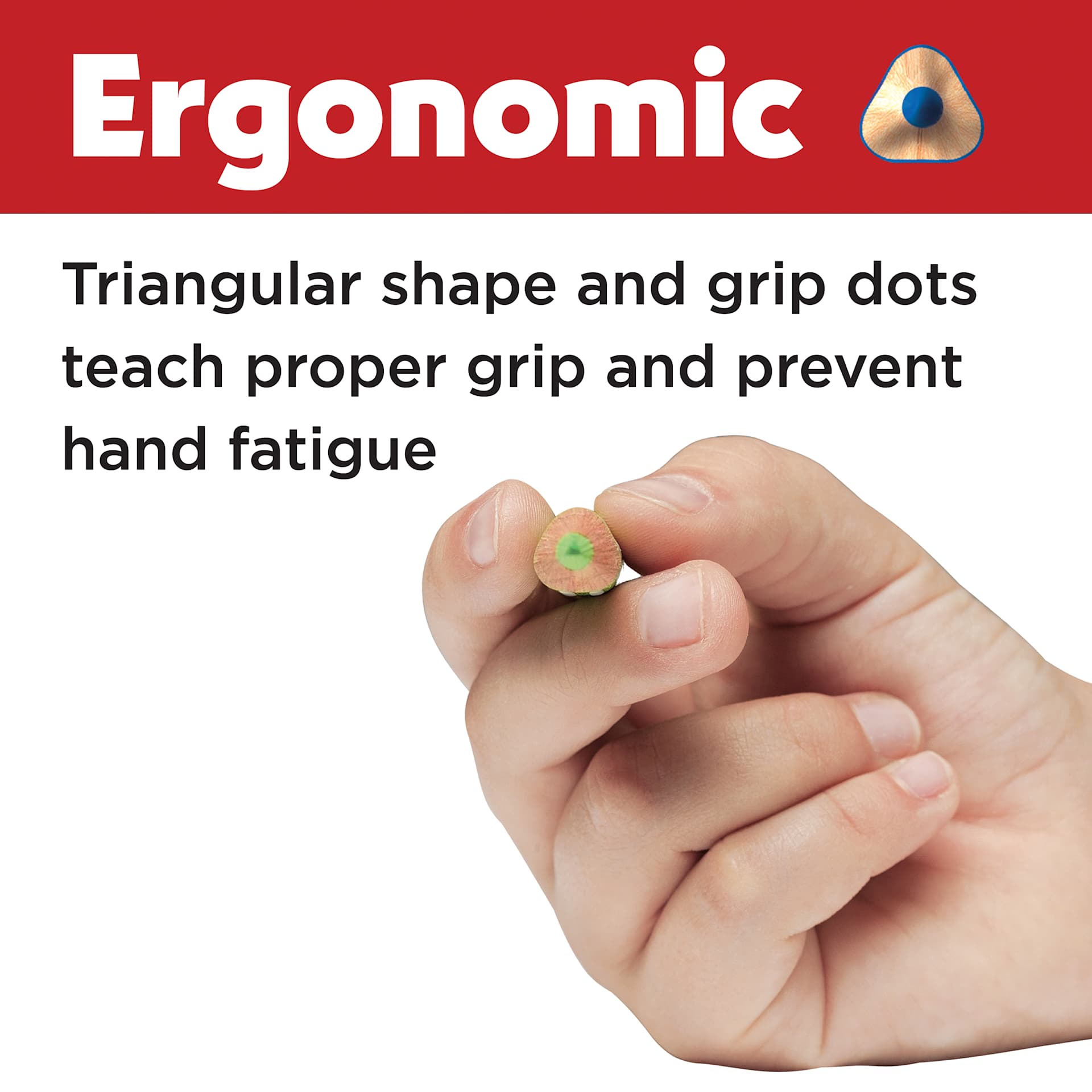 Faber-Castell Grip Colored EcoPencils, colored pencil in hand showing the triangular shape
