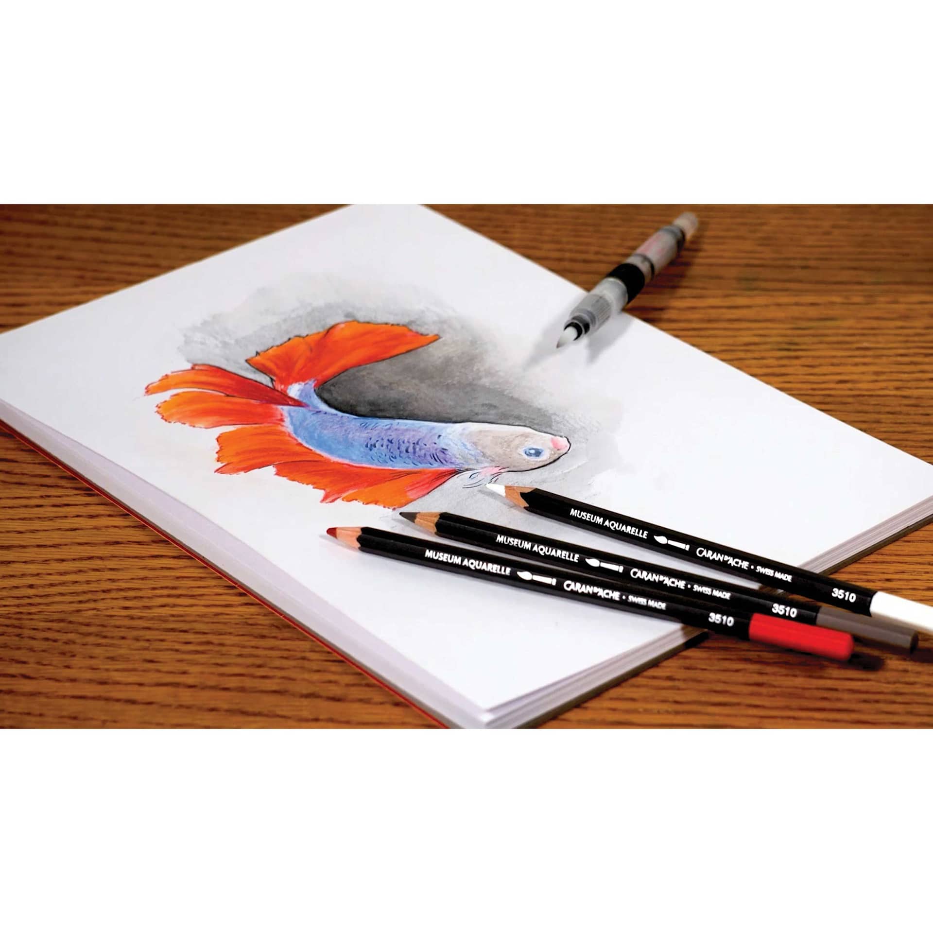 Caran d'Ache Museum Aquarelle Pencils, Betta drawing