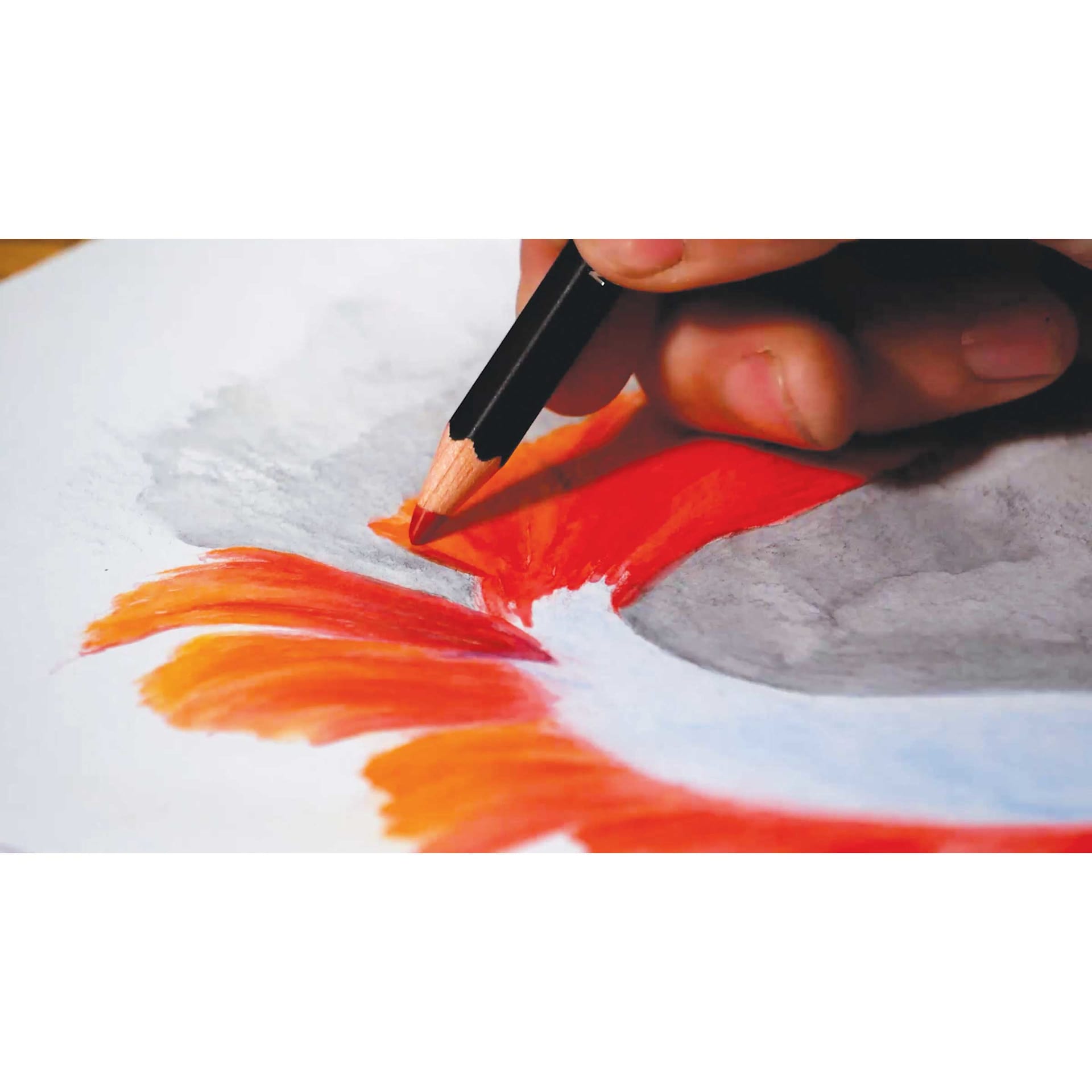 Caran d'Ache Museum Aquarelle Pencil, close-up of Betta tail