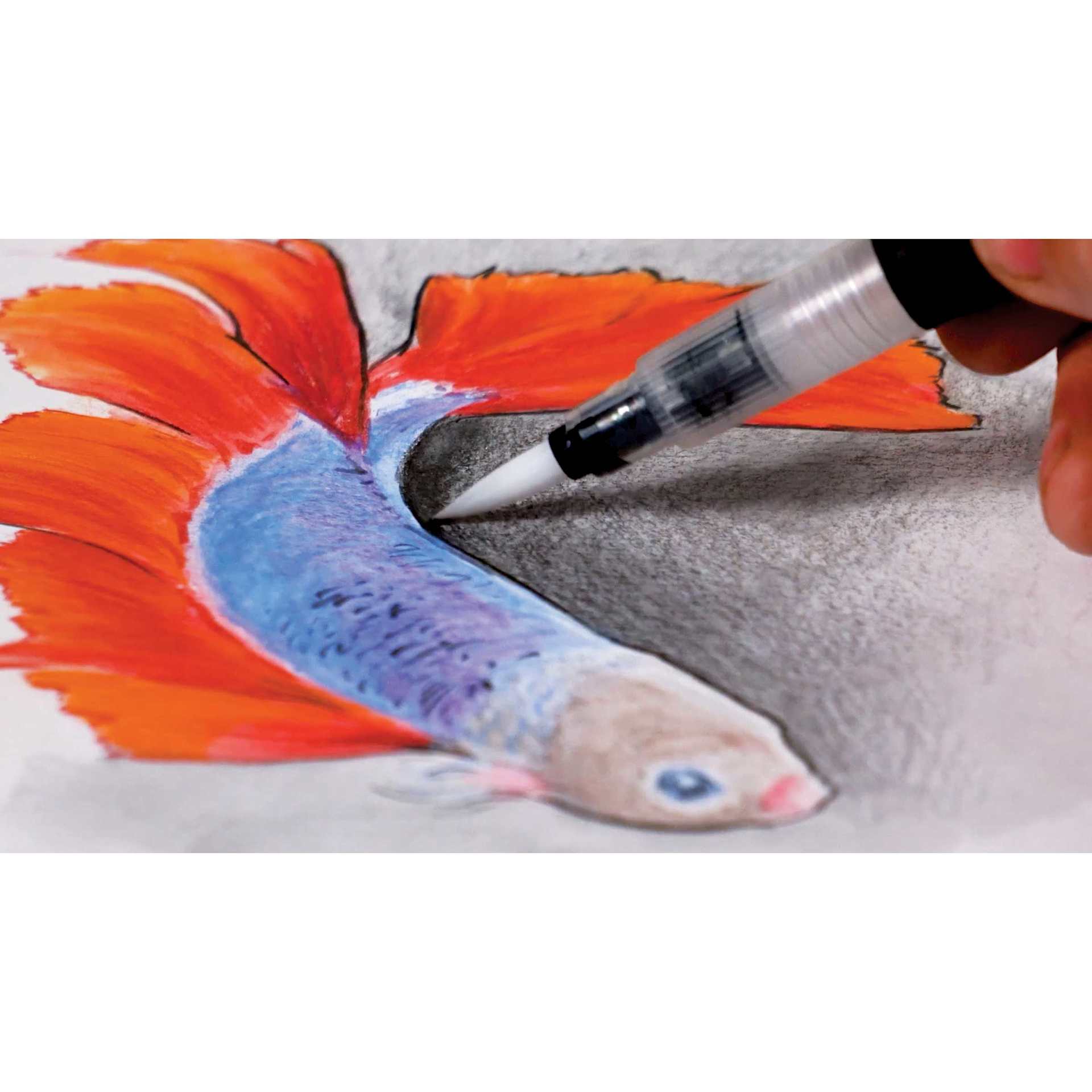 Caran d'Ache Museum Aquarelle Pencil, close-up of Betta