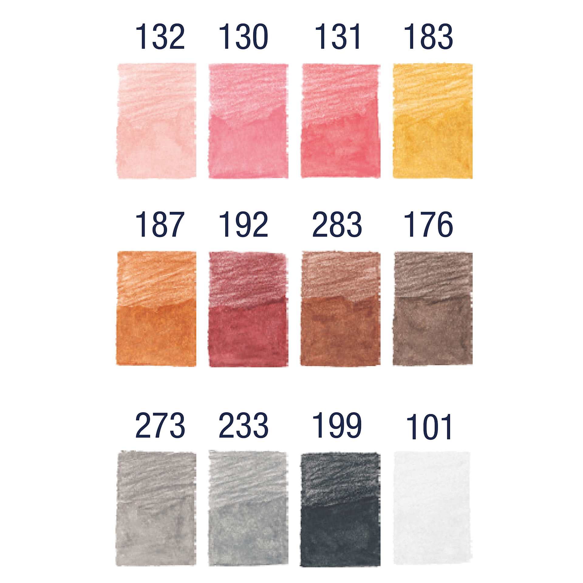 Faber Castell Goldfaber Aqua Watercolor Pencils - Set of 12, Skin Tones swatches