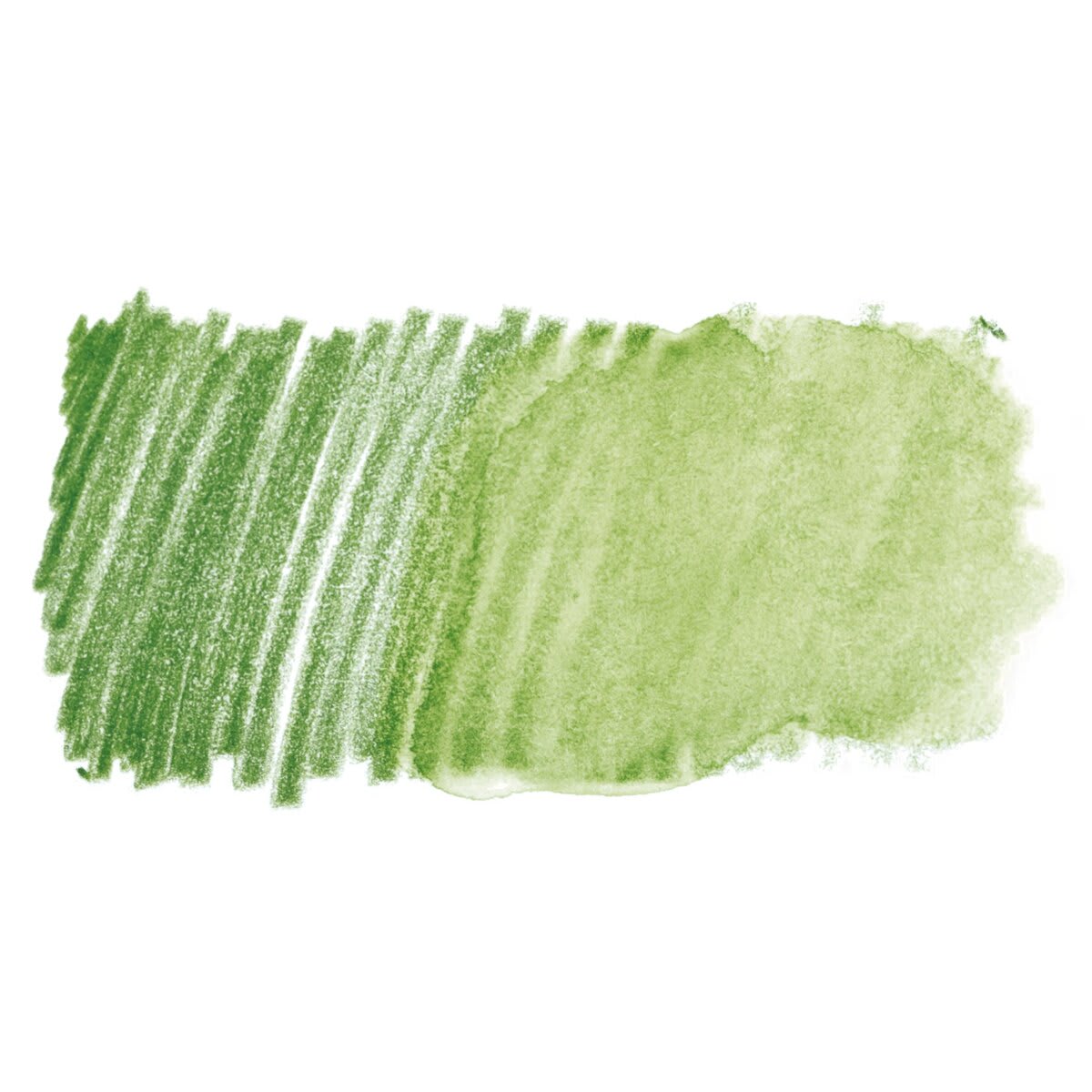 Faber Castell Goldfaber Aqua Watercolor Pencil - Permanent Green 167 swatch