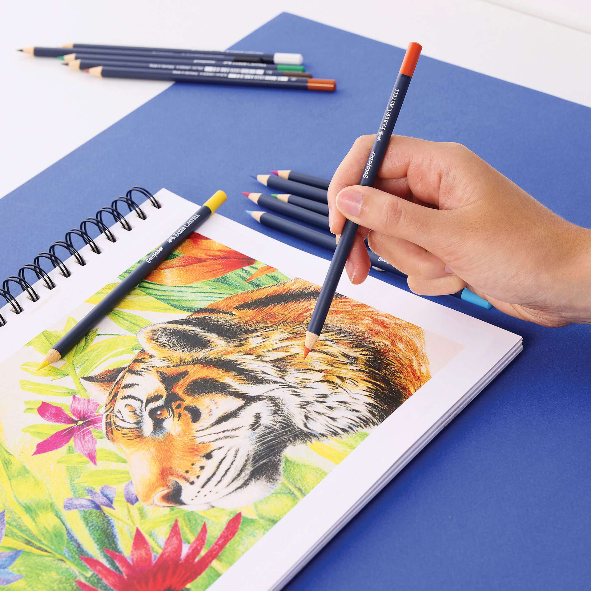 Faber-Castell Goldfaber Color Pencils - Set of 12, Assorted Colors, sketching a tiger