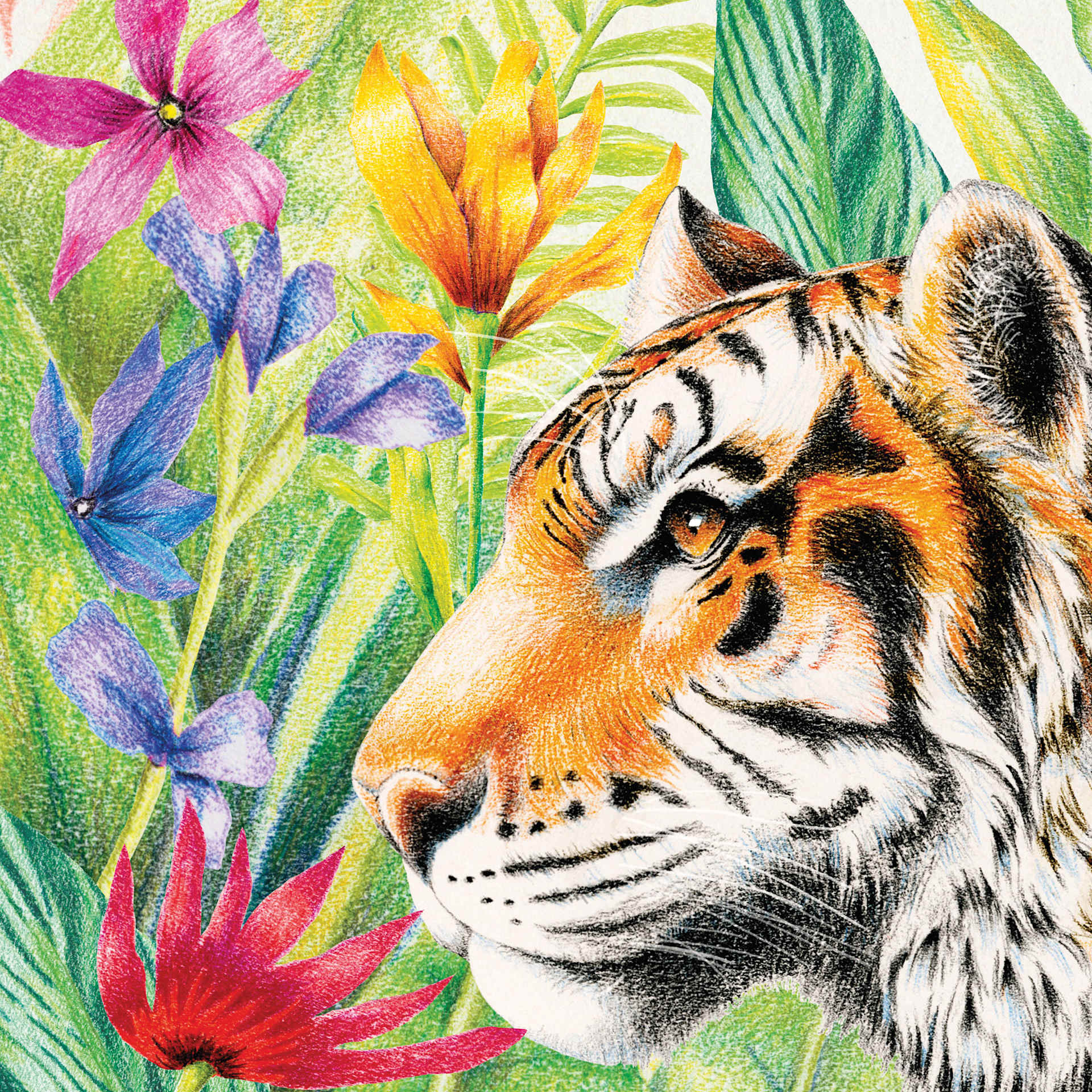 Artwork made with Faber-Castell Goldfaber Color Pencils - Set of 48, Assorted Colors