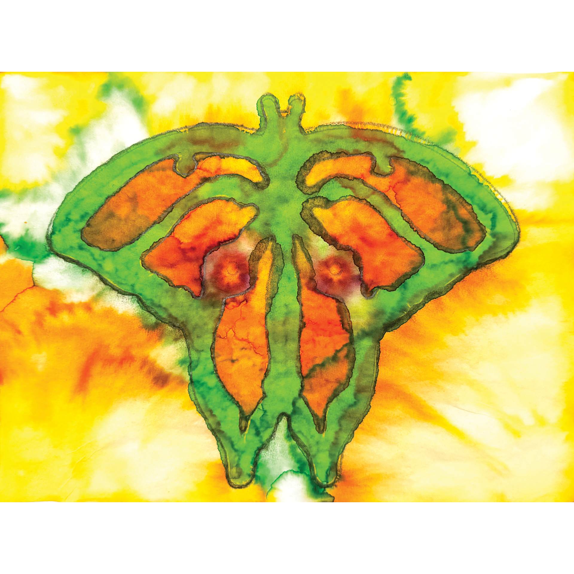 Roylco Jumbo Stencil Set - Butterfly and Friends, Set of 6 butterfly example