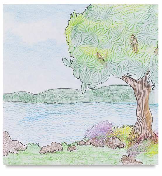 Nature Set