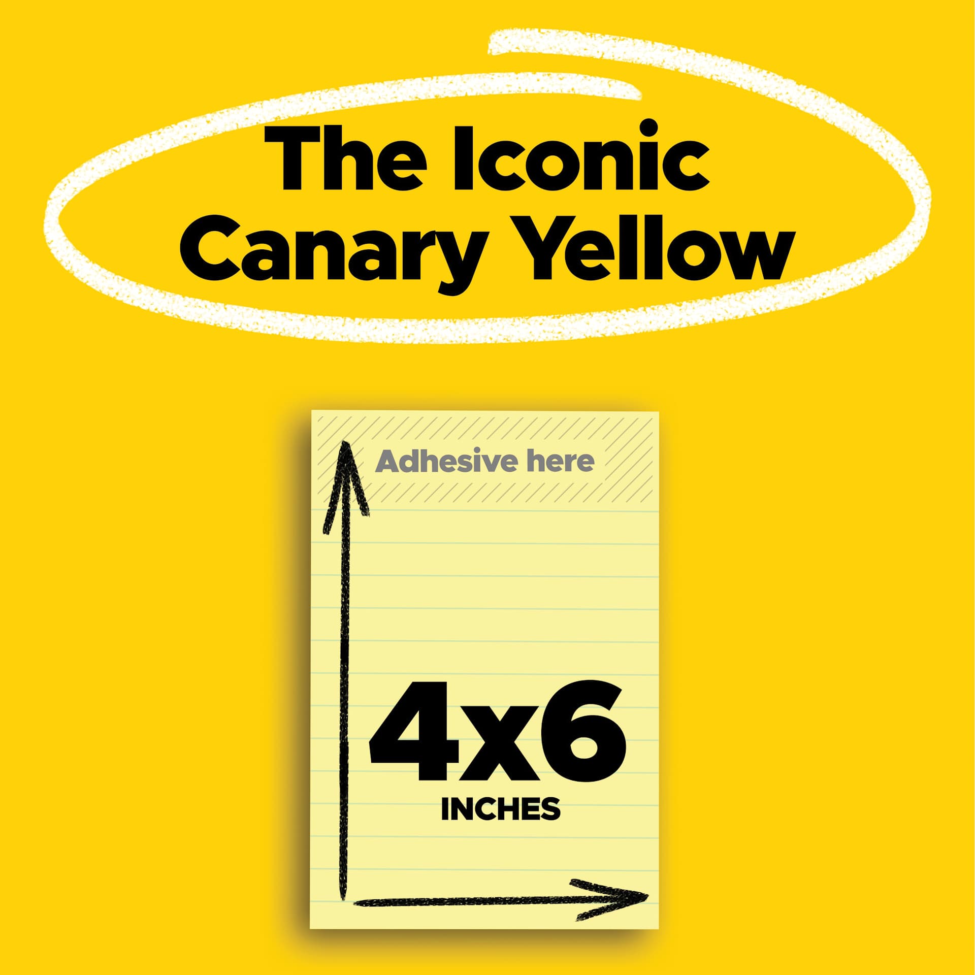 The Iconic Canary Yellow, 4" x 6"