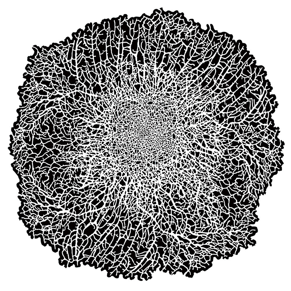 Texture FX Freehand Template - Second of Three Standard size Templates in a Set