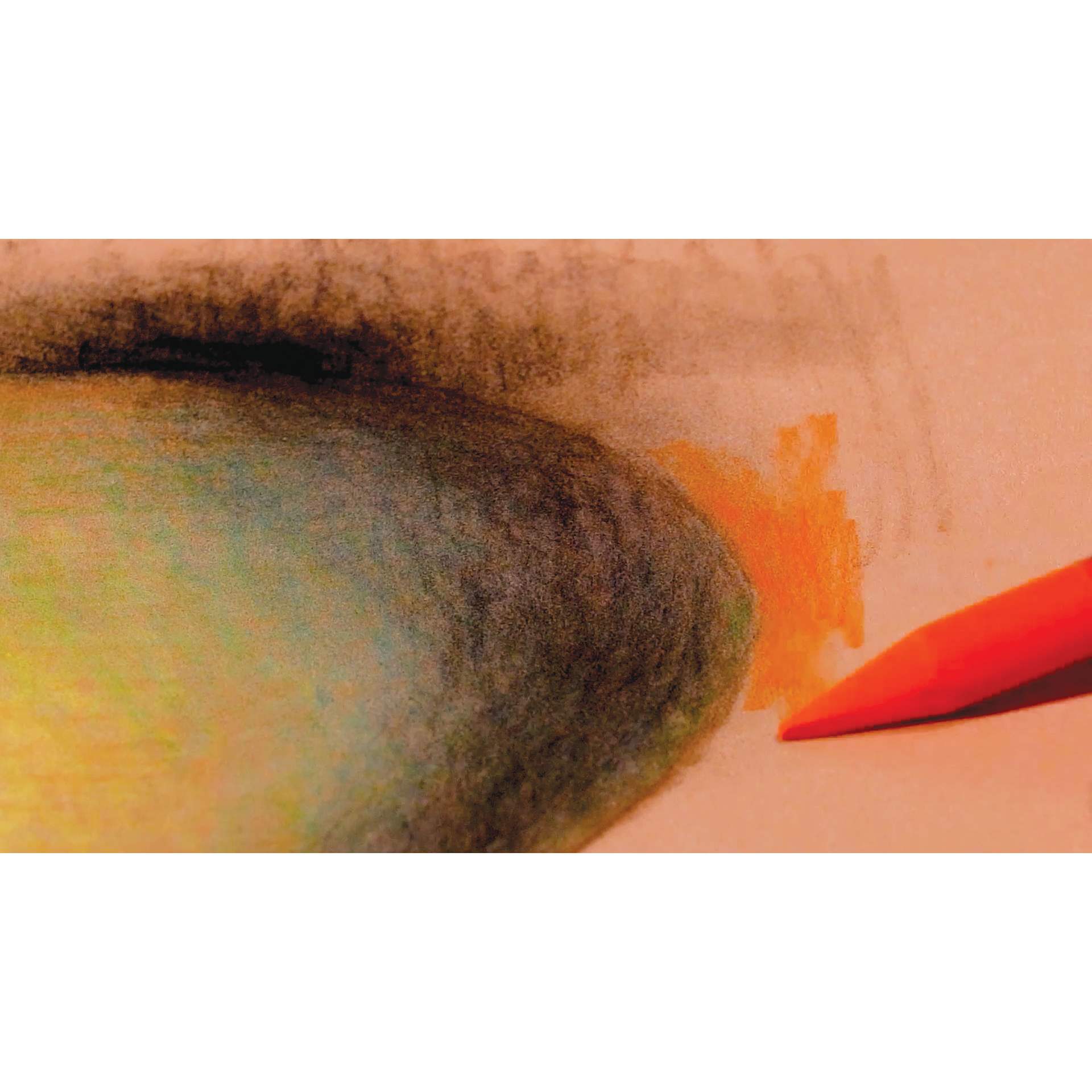 Sennelier Woodless Pastel Pencils, close-up of drawing