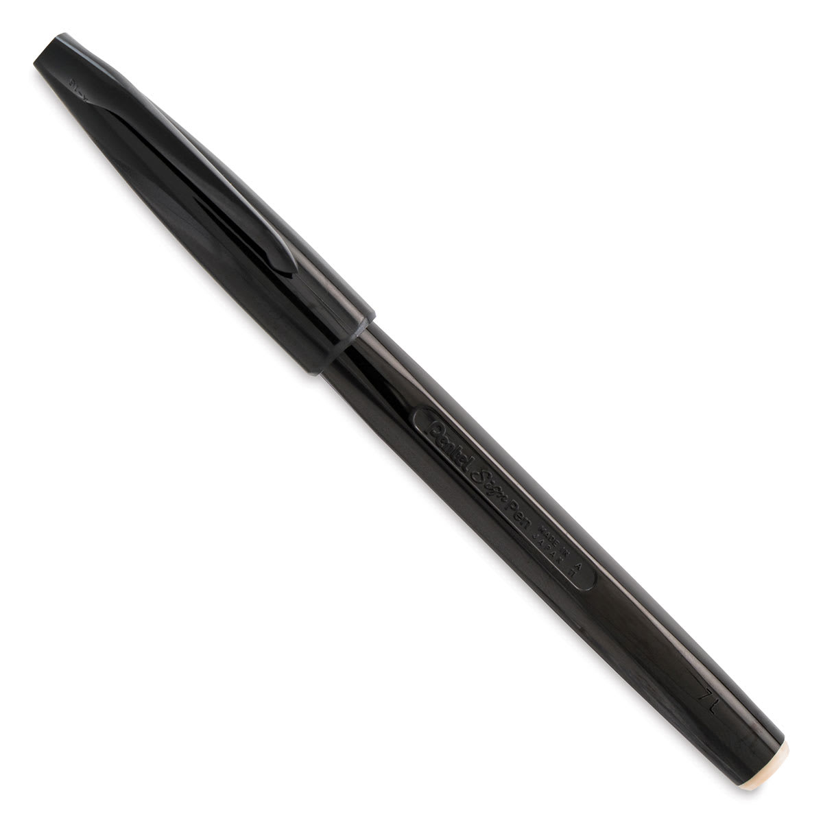 Pentel Arts Sign Pen - Black, Fine Tip - with cap on