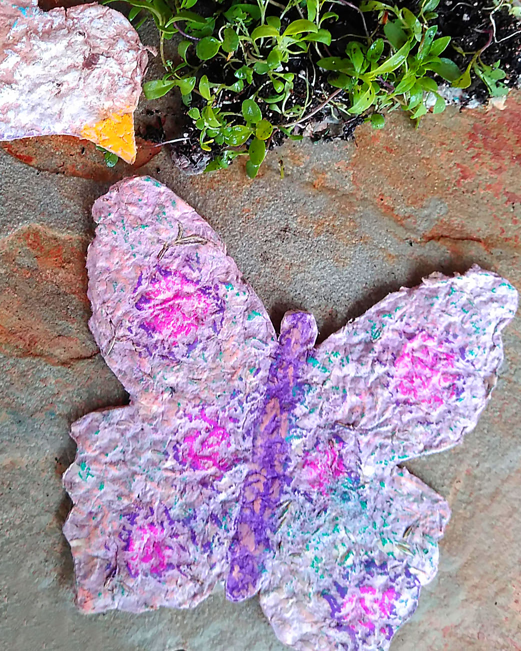 Plantable Paper