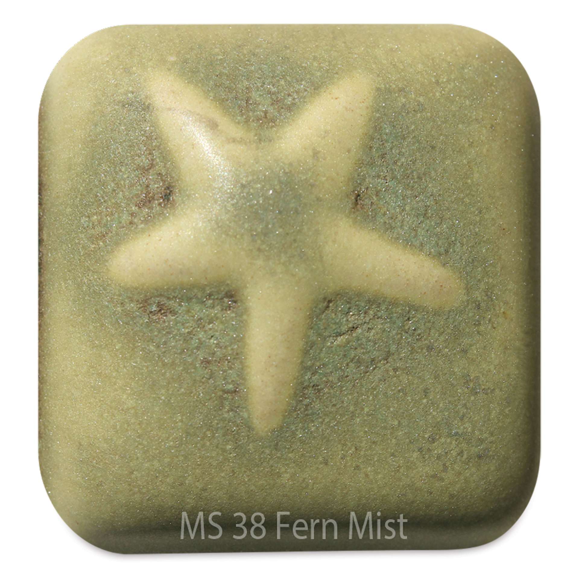 Laguna Moroccan Sand Glaze - MS-38 Fern Mist Matte, Pint
