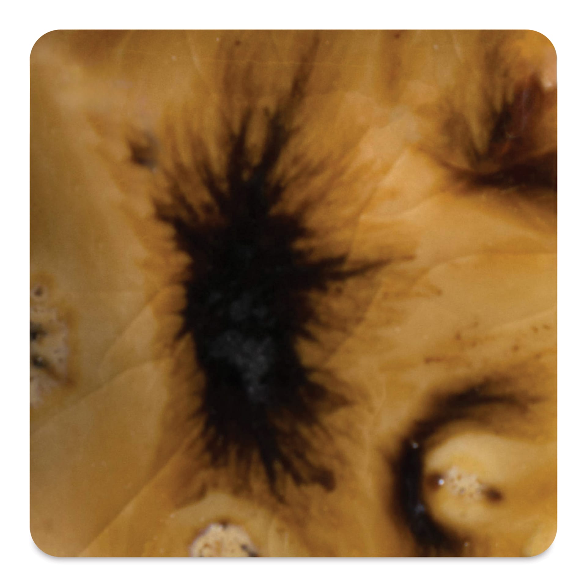 Mayco Crystalite Glaze - Oriental Carmel, Cone 6 oxidation