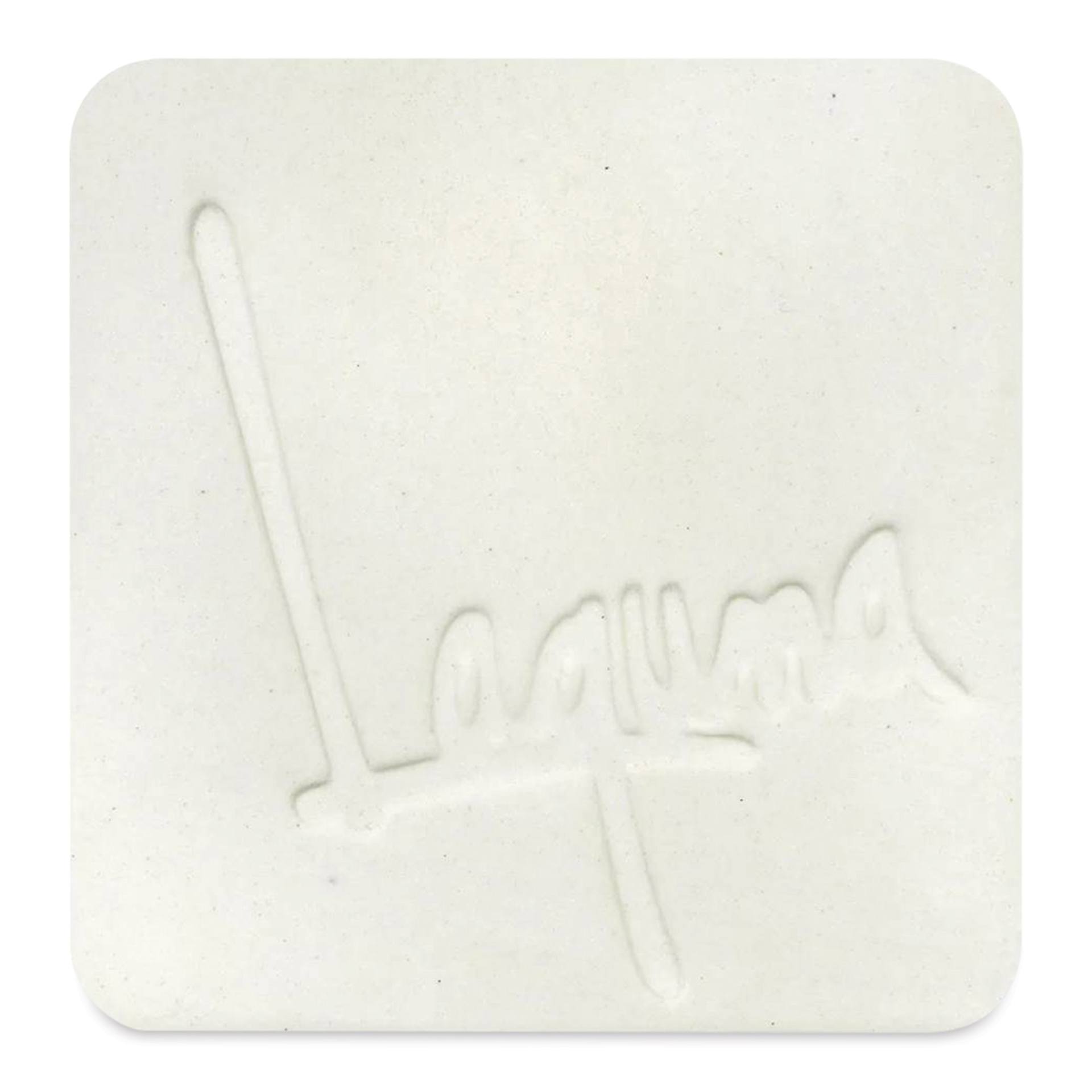 Laguna #16 Porcelain Clay WC617