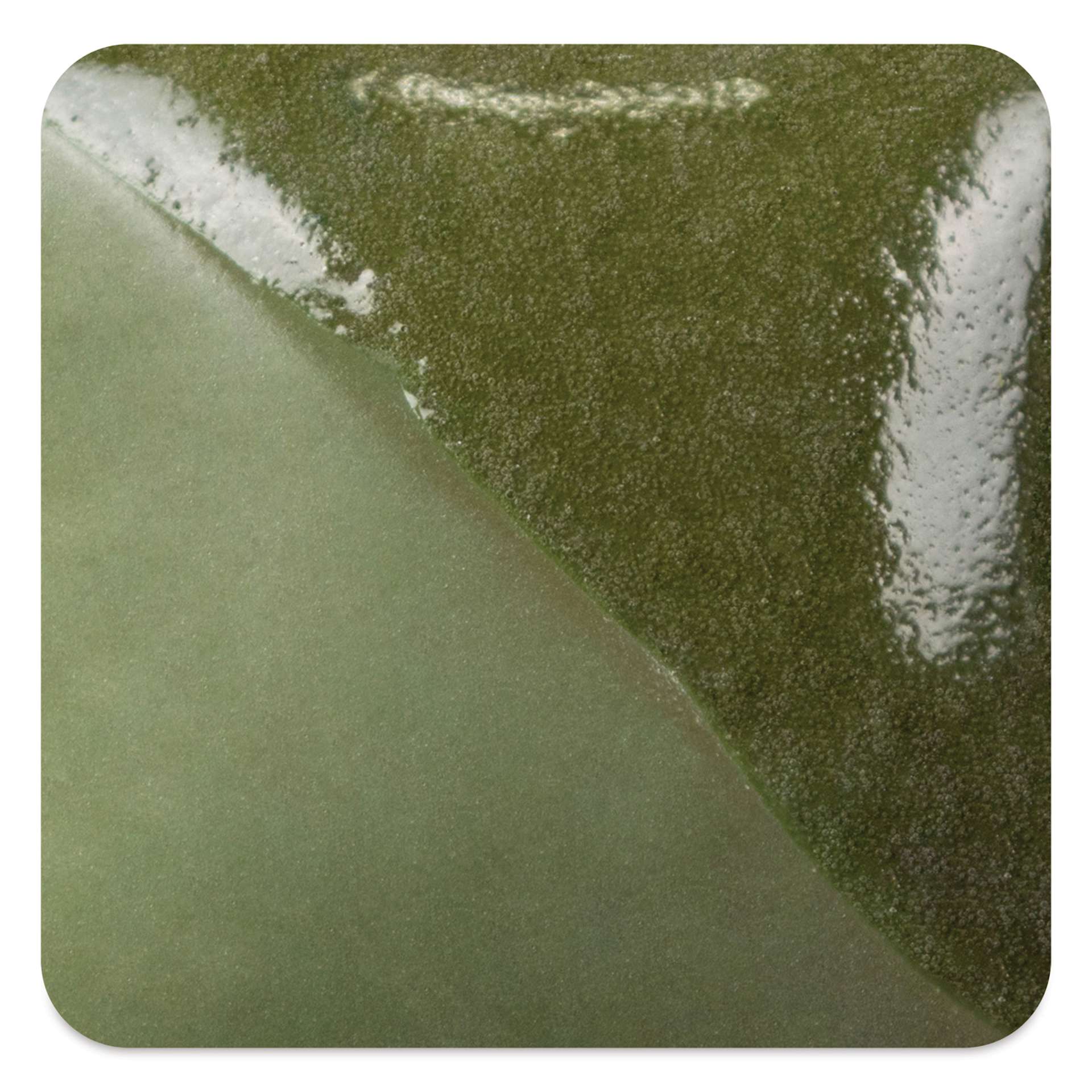Mayco Fundamentals Underglaze - Leaf Green - fired at cone 10 reduction