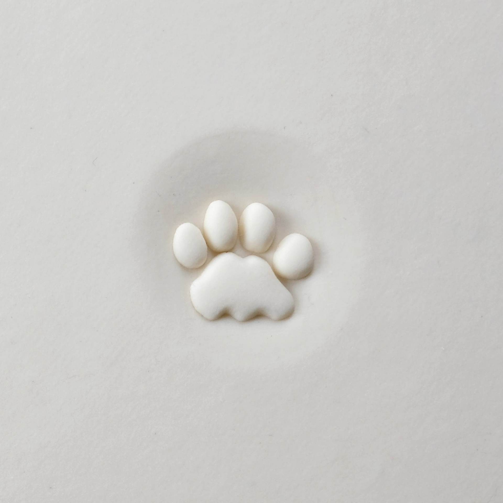 MKM Pottery Tools Curve Top Stamp - Cat Paw Print - stamped into clay