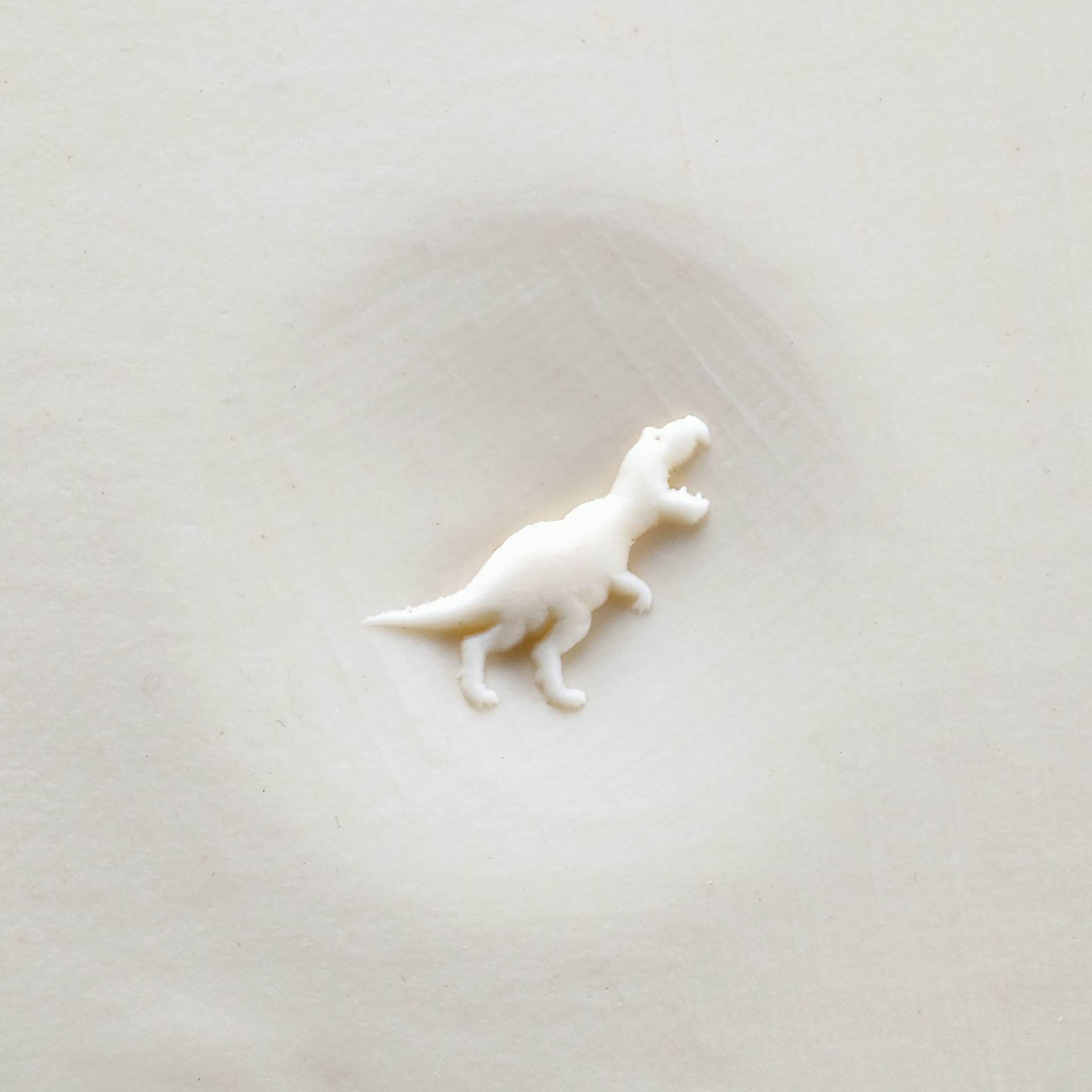 MKM Pottery Tools Curve Top Stamp - T-Rex applied to clay