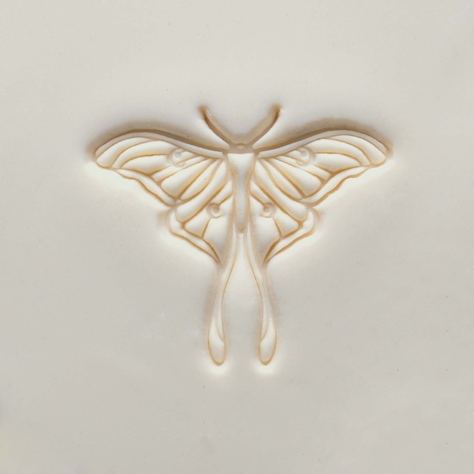 MKM Pottery Tools Extra Large Round Stamp - Luna Moth applied to clay