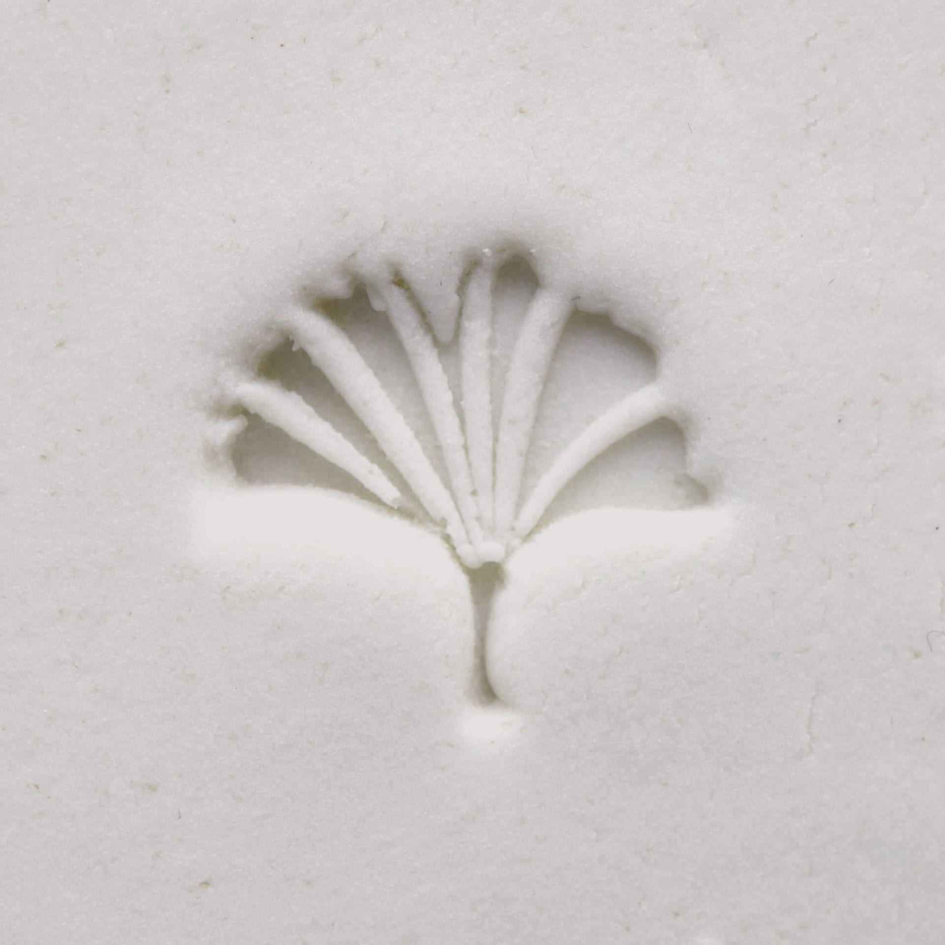 MKM Pottery Tools Small Round Stamp - SCS-048, Gingko Leaf applied to clay