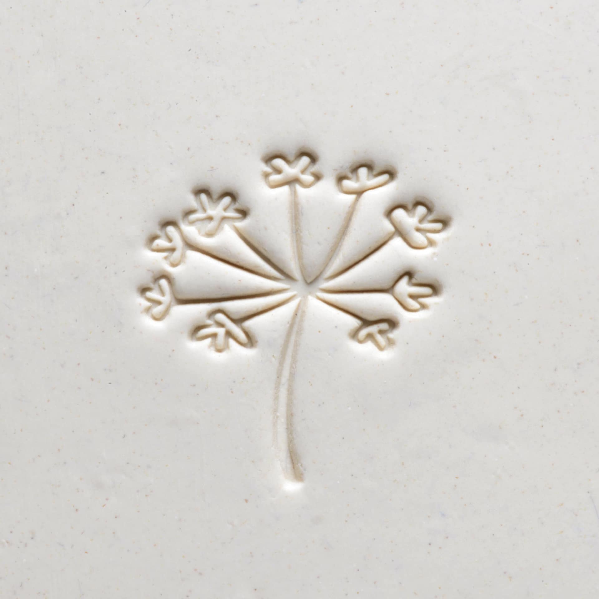 MKM Pottery Tools Large Round Stamp - SCL-098, Common Milkweed applied to clay