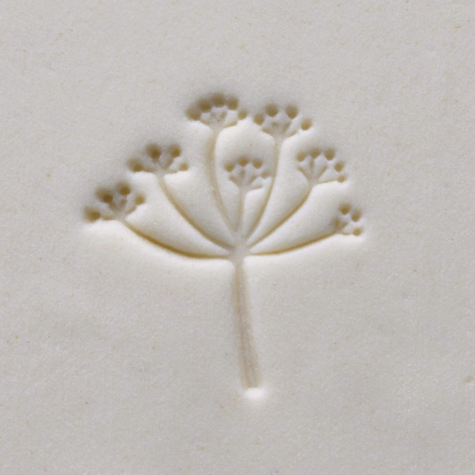 MKM Pottery Tools Medium Round Stamp - SCM-244, Butterfly Milkweed applied to clay