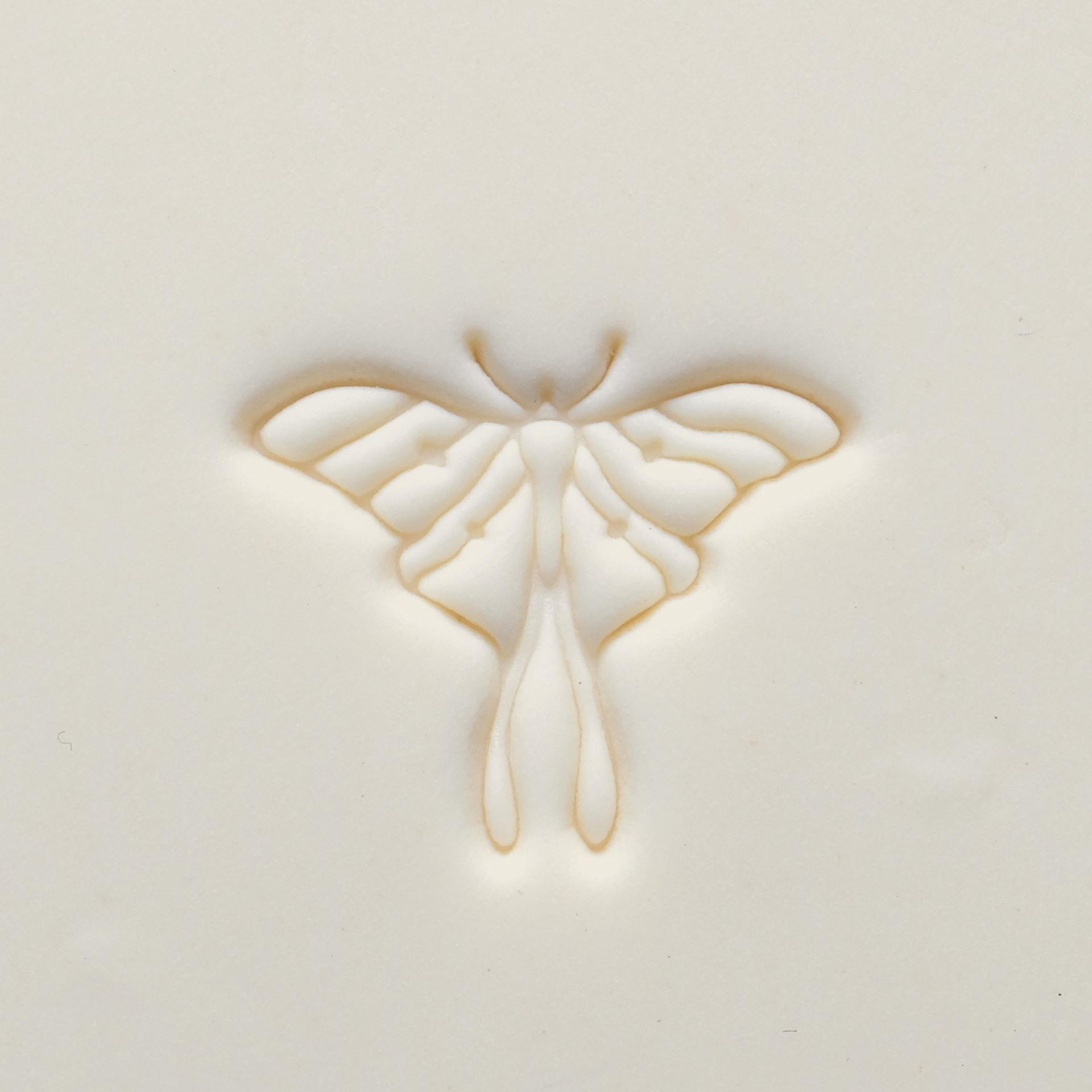 MKM Pottery Tools Medium Round Stamp - SCM-302, Luna Moth applied to clay