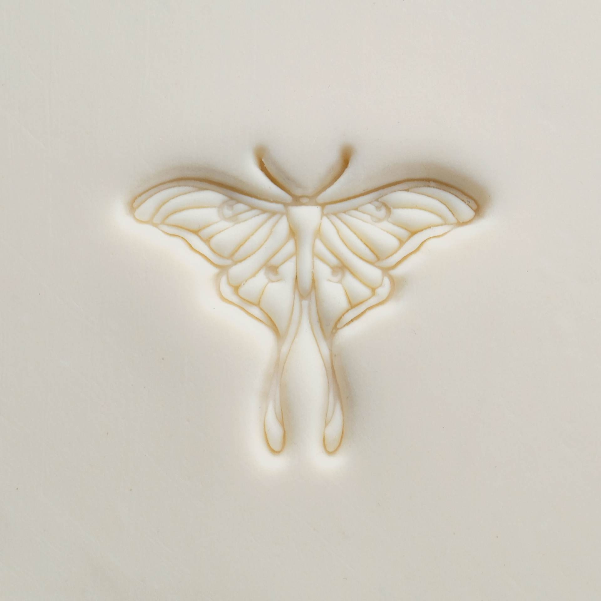 MKM Pottery Tools Large Round Stamp - SCL-169, Luna Moth applied to clay