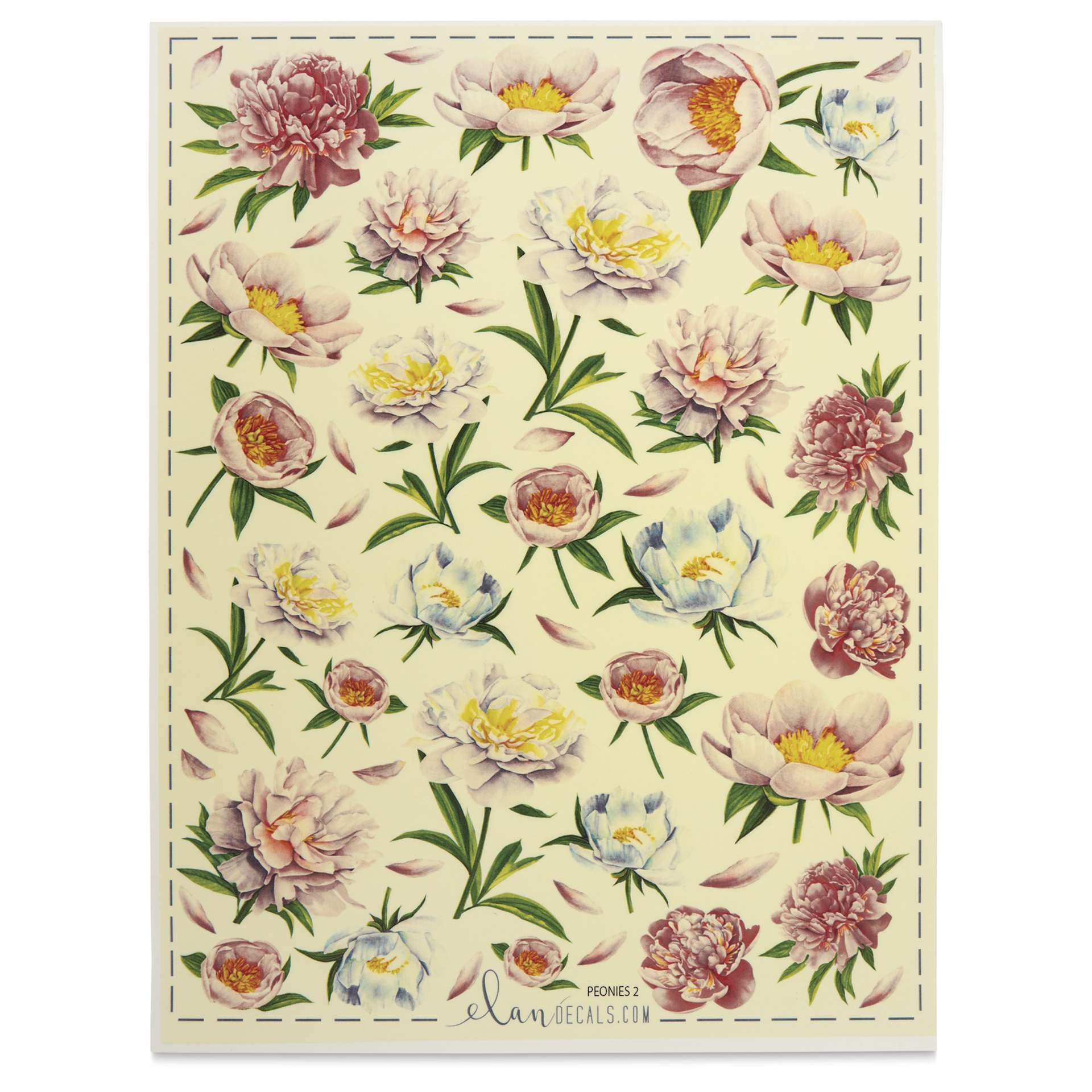 Elan Transfers Overglaze Decal Sheet - Peonies