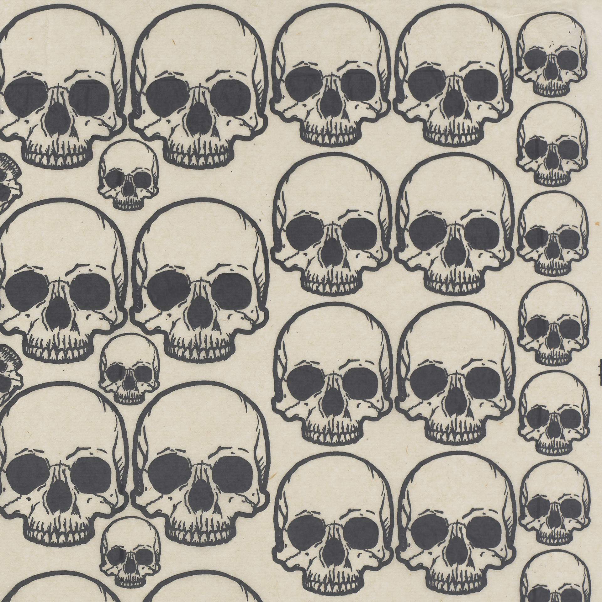 Elan Transfers Underglaze Transfer Sheet - Skulls, Black - close-up
