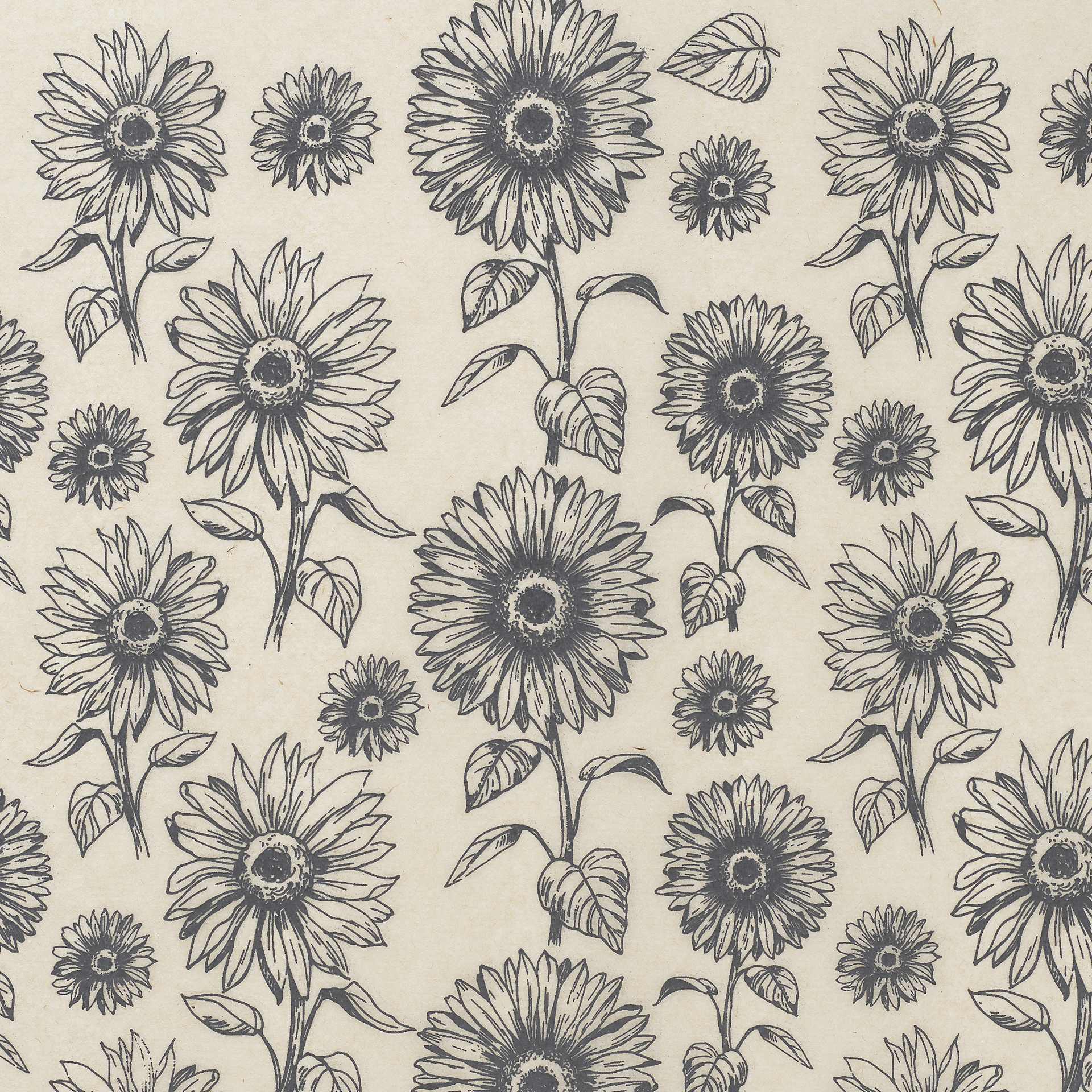 Elan Transfers Underglaze Transfer Sheet - Sunflowers, Black - close-up