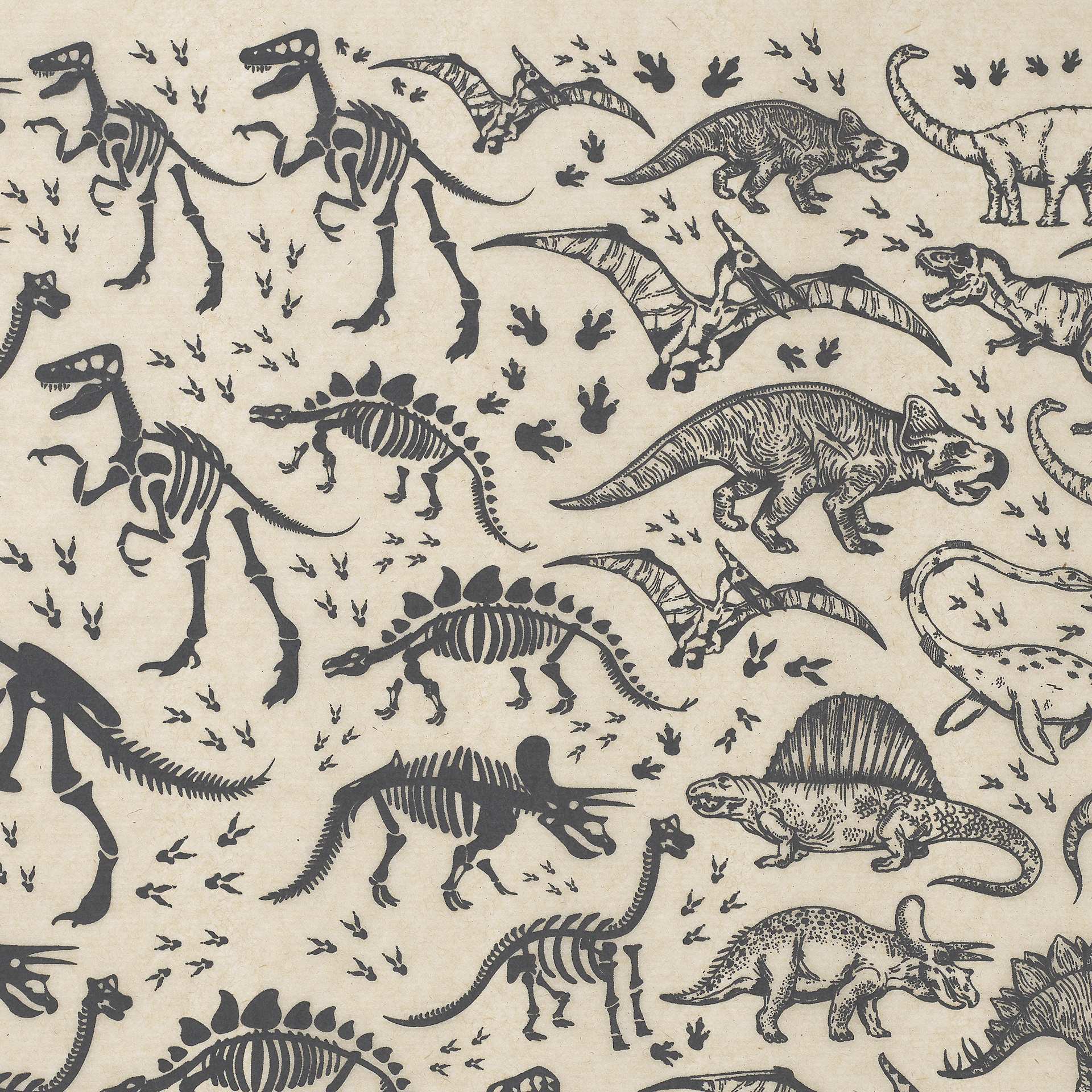Elan Transfers Underglaze Transfer Sheet - Dinosaurs, Black - close-up