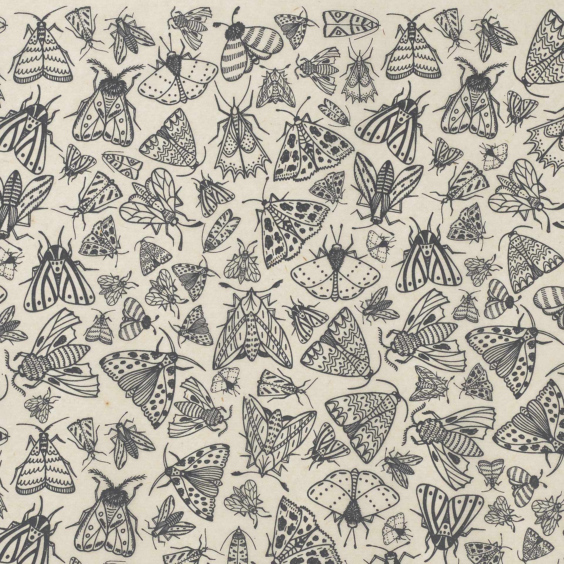 Elan Transfers Underglaze Transfer Sheet - Moths, Black - close-up