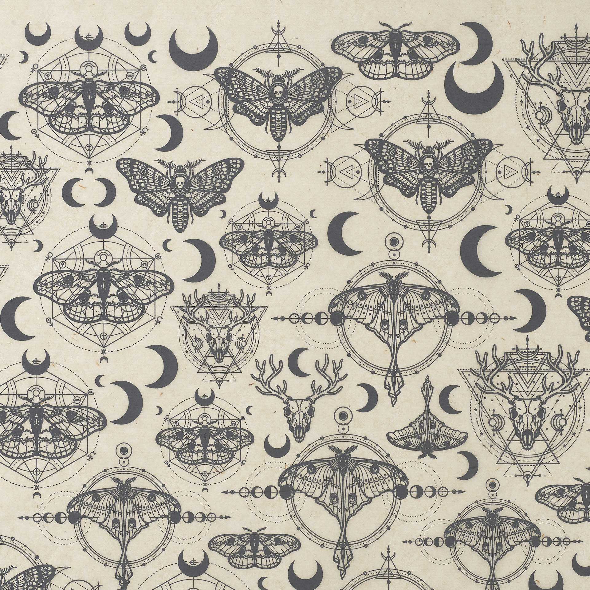 Elan Transfers Underglaze Transfer Sheet - Alchemy, Black - close-up