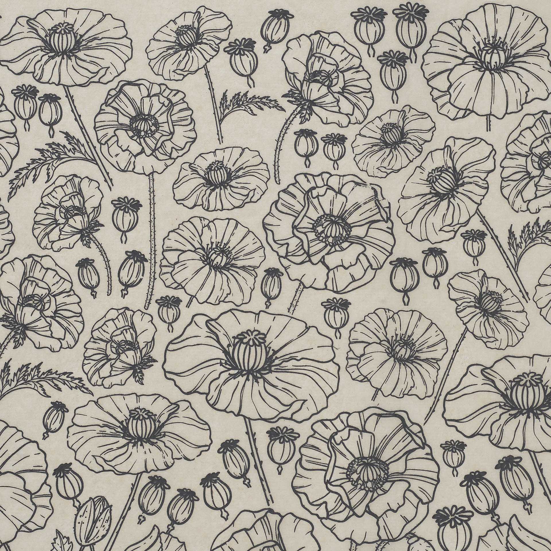 Elan Transfers Underglaze Transfer Sheet - Poppies, Black - close-up