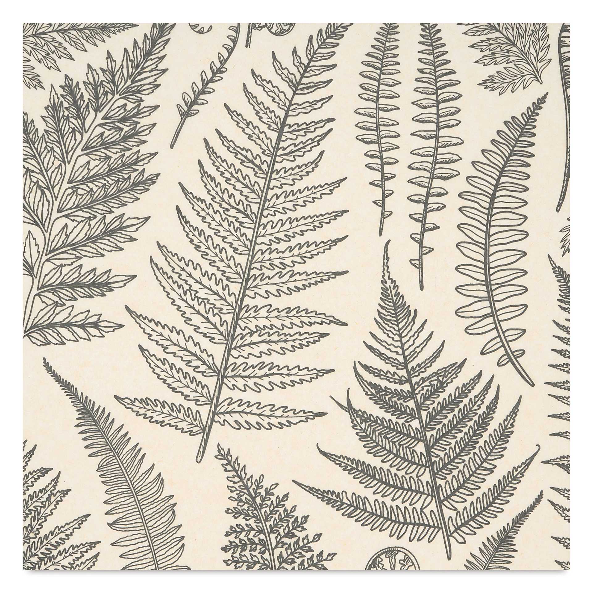 Elan Transfers Underglaze Transfer Sheet - Jungle Ferns, Black close up