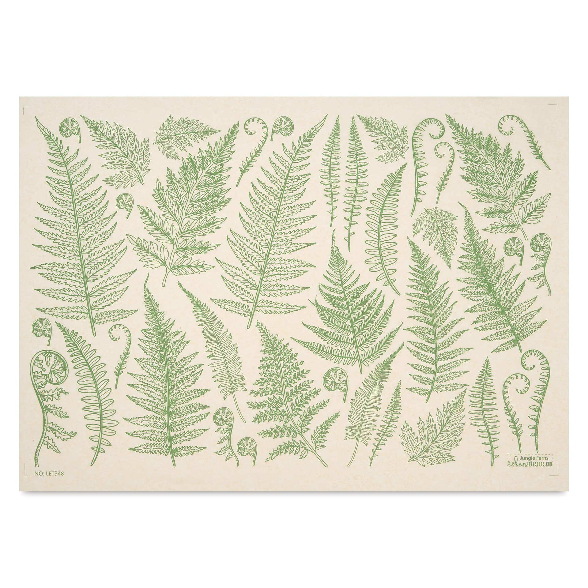 Elan Transfers Underglaze Transfer Sheet - Jungle Ferns, Green