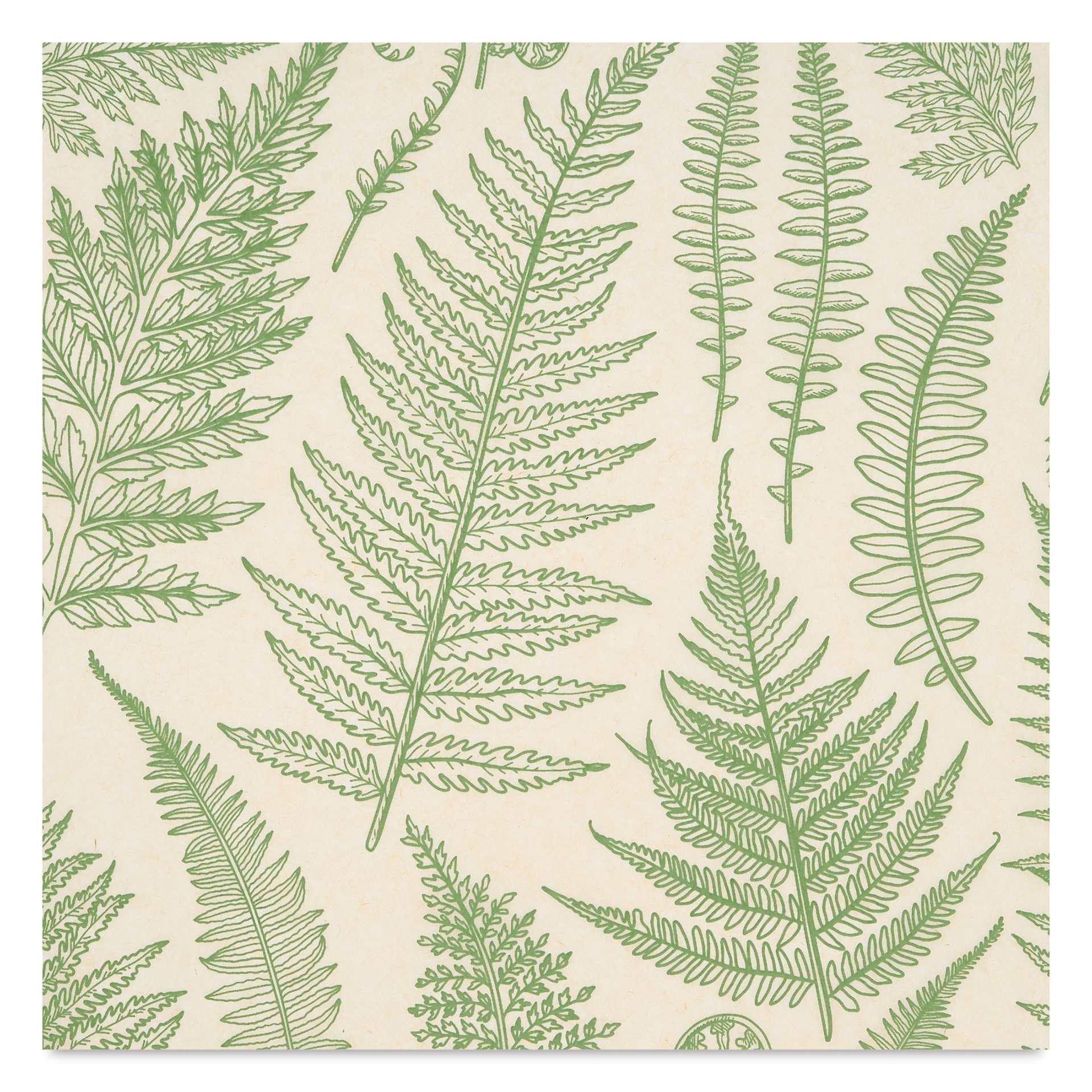 Elan Transfers Underglaze Transfer Sheet - Jungle Ferns, Green close up