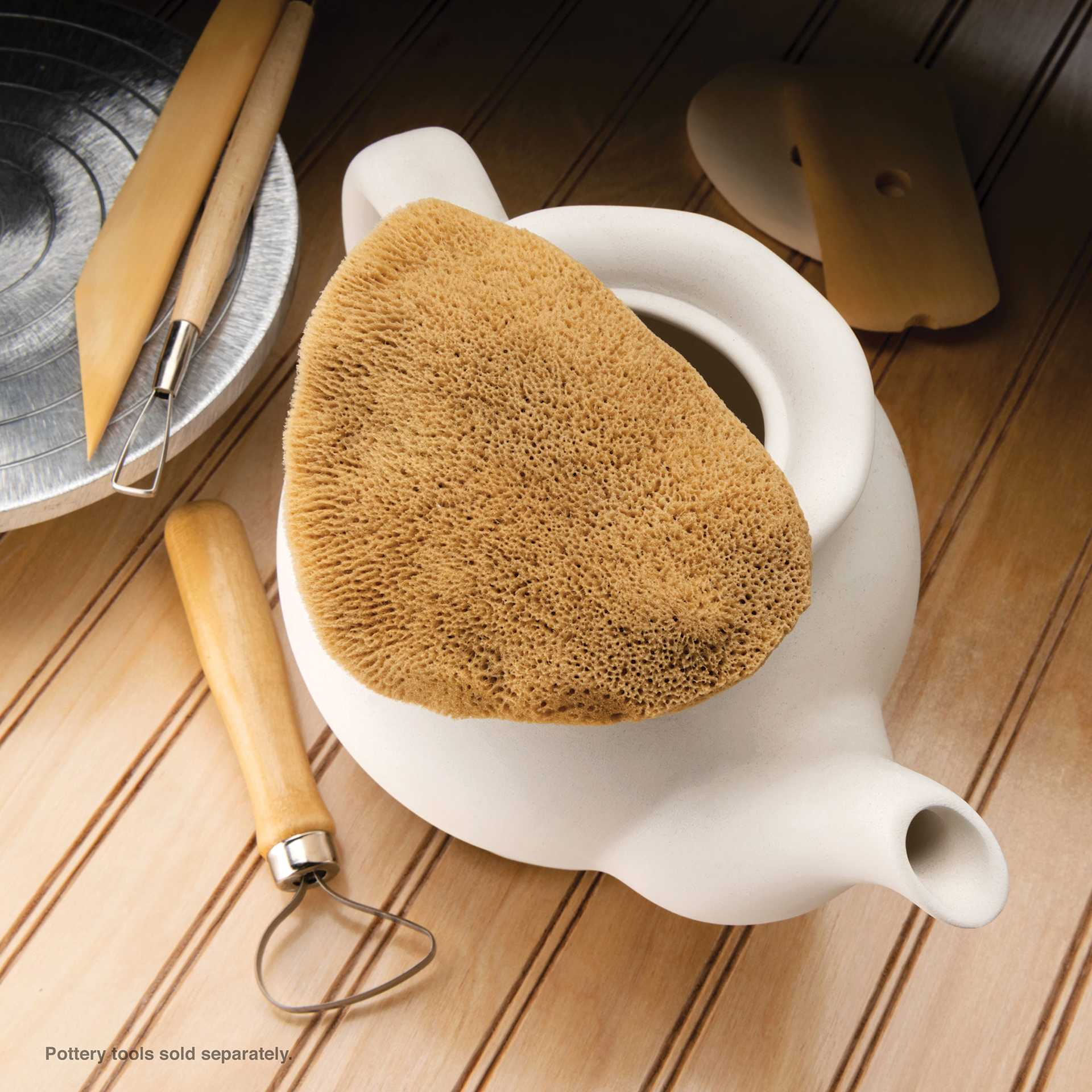 Royal & Langnickel Elephant Ear Sponge - 4" to 4-1/2" on teapot with clay tools 