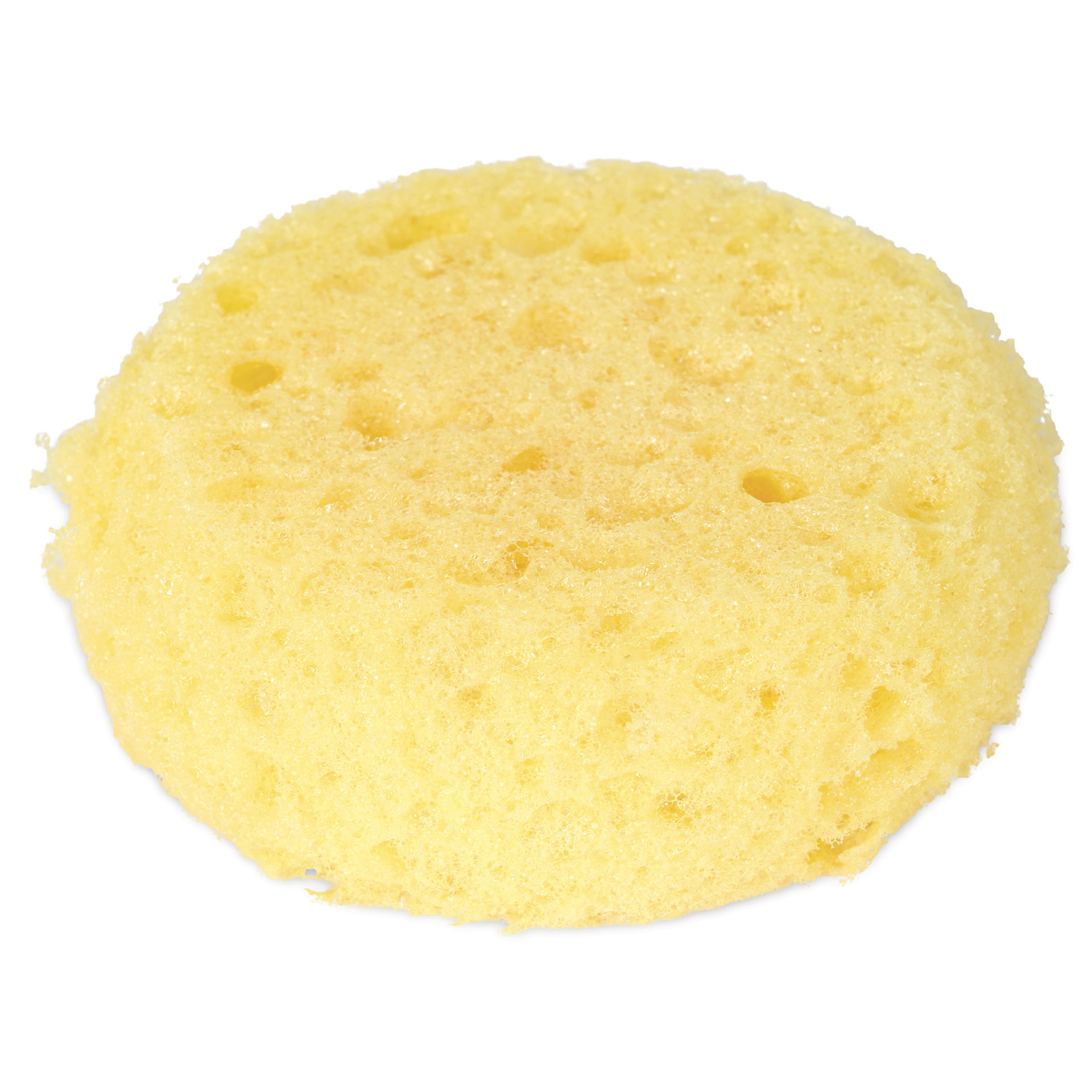 Royal & Langnickel Synthetic Artist Sponge - Medium - out of packaging