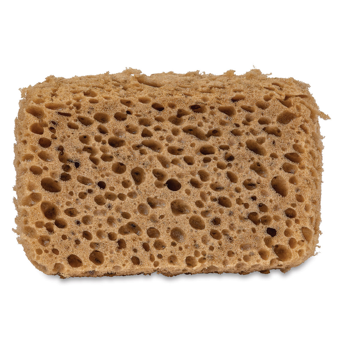 Oval Poly Sponge - 5" x 3" x 2"